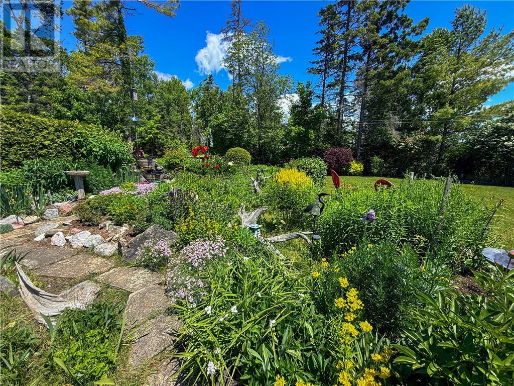 238 Lonesome Pine Trail - 42