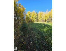 #3 9002 Hwy 16, Rural Yellowhead, AB T0E2M0 Photo 6