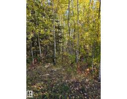 #3 9002 Hwy 16, Rural Yellowhead, AB T0E2M0 Photo 11