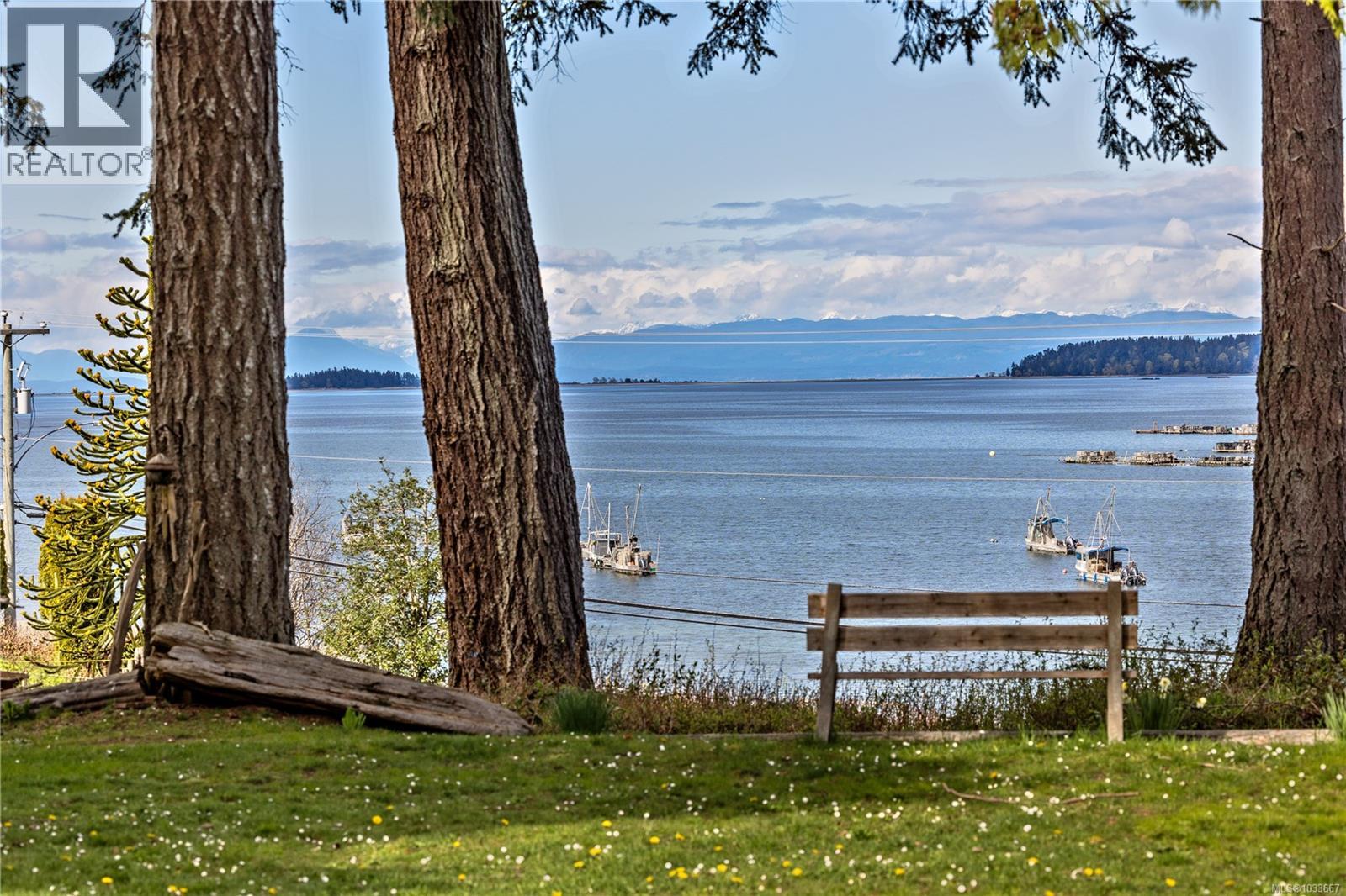6249/6259 Island Hwy S - 1