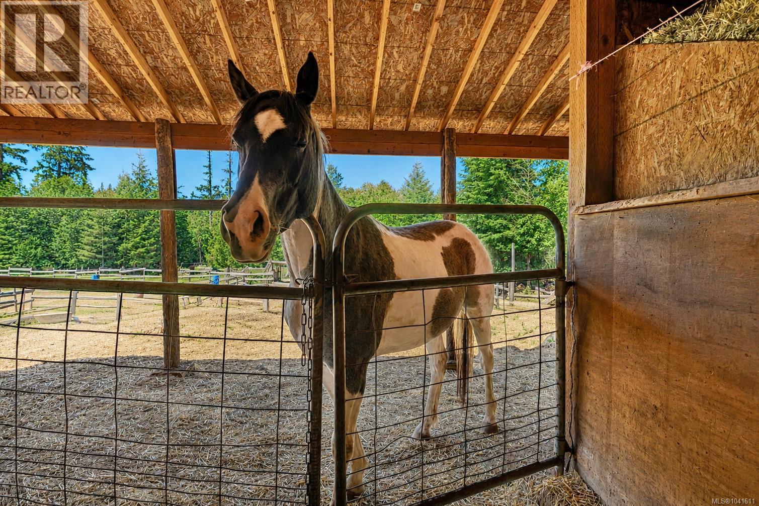 1890 Sooke Lake (Off) Rd - 11