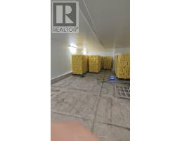 12 - 2450 Morningside Avenue, Toronto, ON M1X2E5 Photo 7