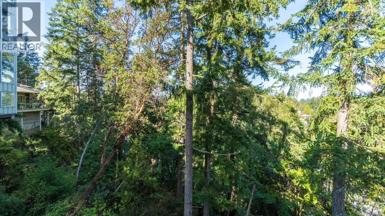 541 Charfinch Pl - 44