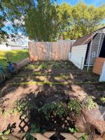 209 1st Avenue W, Souris, MB R0K2C0 Photo 35