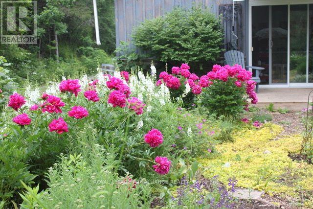 602 ELMBROOK ROAD - 43