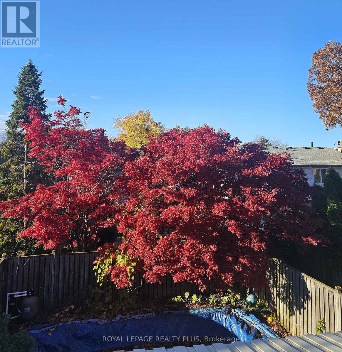 4170 TREETOP CRESCENT - 39