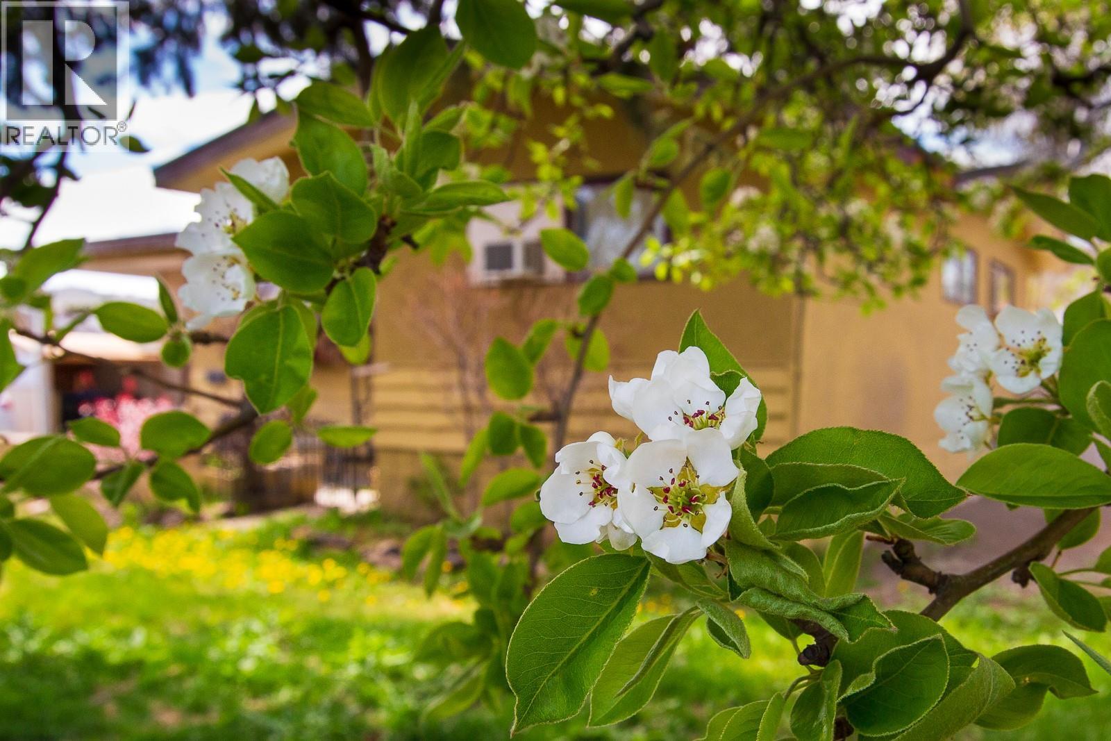 3606 Old Okanagan Highway - 23