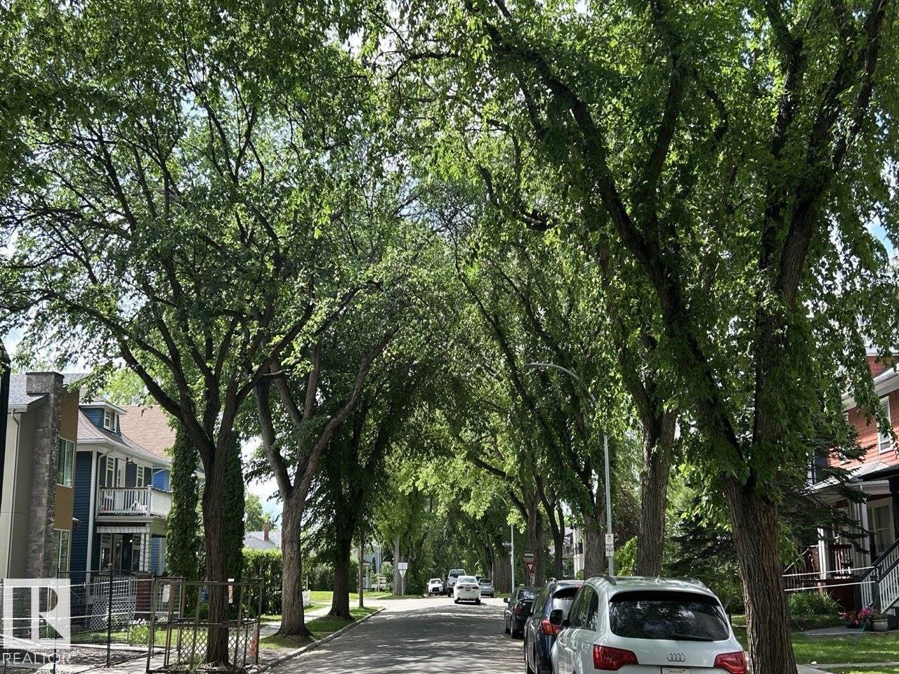 10936 81 AV NW — photo 8