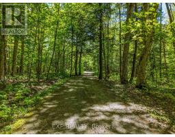 686 East Fox Lake Road, Huntsville, ON P1H2J2 Photo 11
