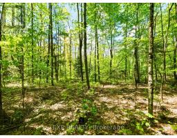 686 East Fox Lake Road, Huntsville, ON P1H2J2 Photo 12