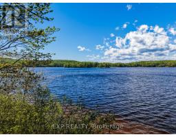 686 East Fox Lake Road, Huntsville, ON P1H2J2 Photo 7