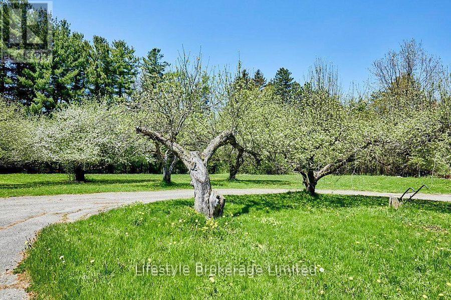 2660 CONCESSION 9 ROAD - 9