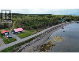 138 Birchy Point Road thumbnail 36