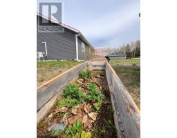 138 Birchy Point Road thumbnail 41