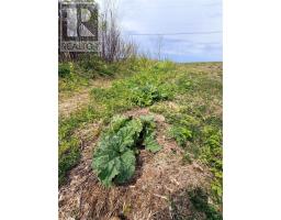 138 Birchy Point Road thumbnail 42
