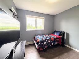 341 Lily Street, Neepawa, MB R0J1H0 Photo 17