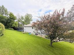 341 Lily Street, Neepawa, MB R0J1H0 Photo 28