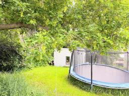 341 Lily Street, Neepawa, MB R0J1H0 Photo 30