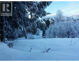 211 Cedar Creek Place, Rossland, BC V0G1Y0 Photo 19