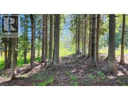 211 Cedar Creek Place, Rossland, BC V0G1Y0 Photo 8