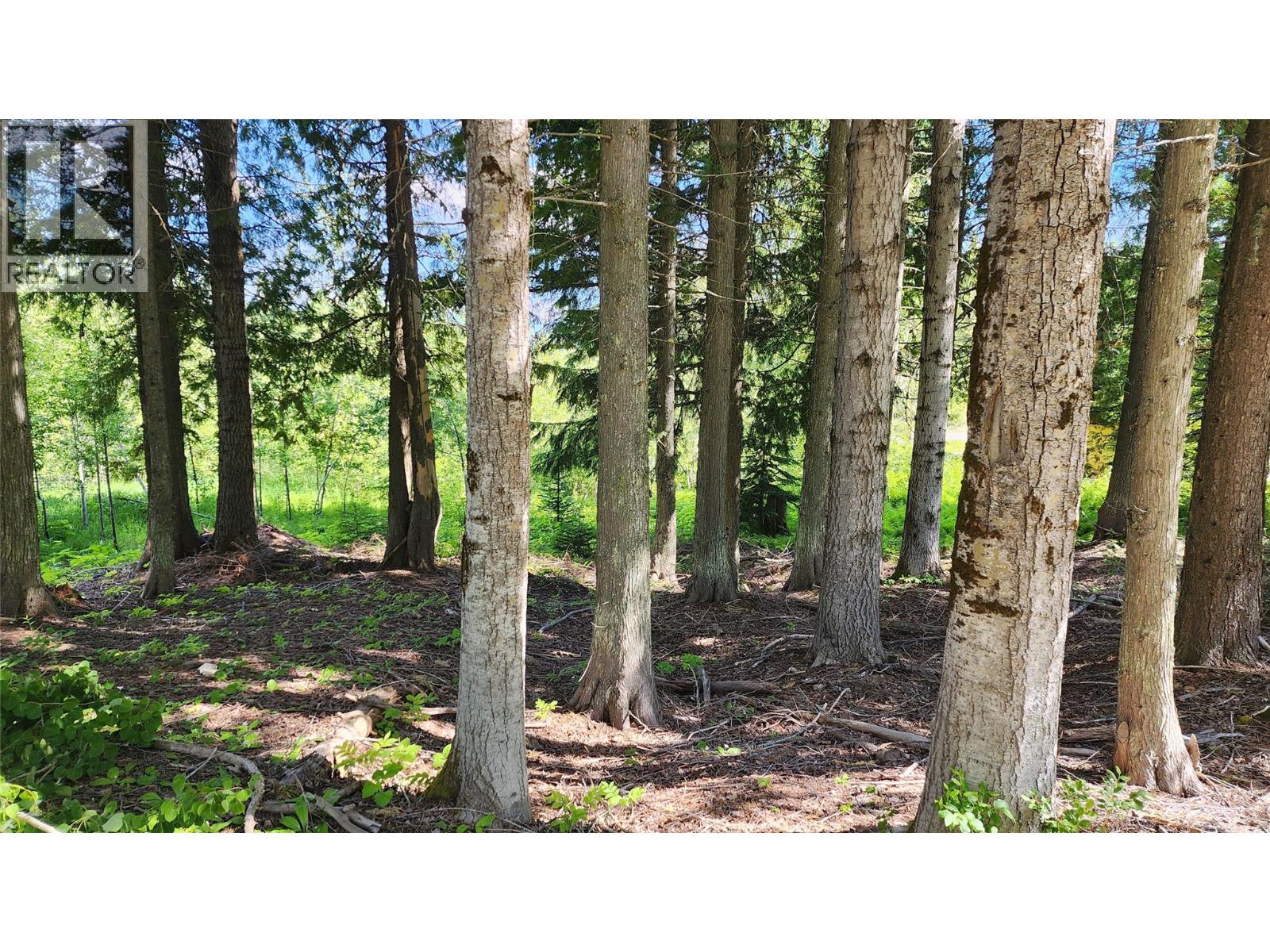 211 CEDAR CREEK Place, Rossland — photo 2