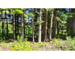 211 Cedar Creek Place, Rossland, BC V0G1Y0 Photo 7