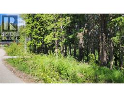 211 Cedar Creek Place, Rossland, BC V0G1Y0 Photo 6