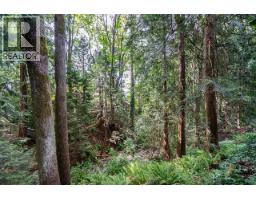 4 305 Decaire Street, Coquitlam, BC V3K4Z6 Photo 35