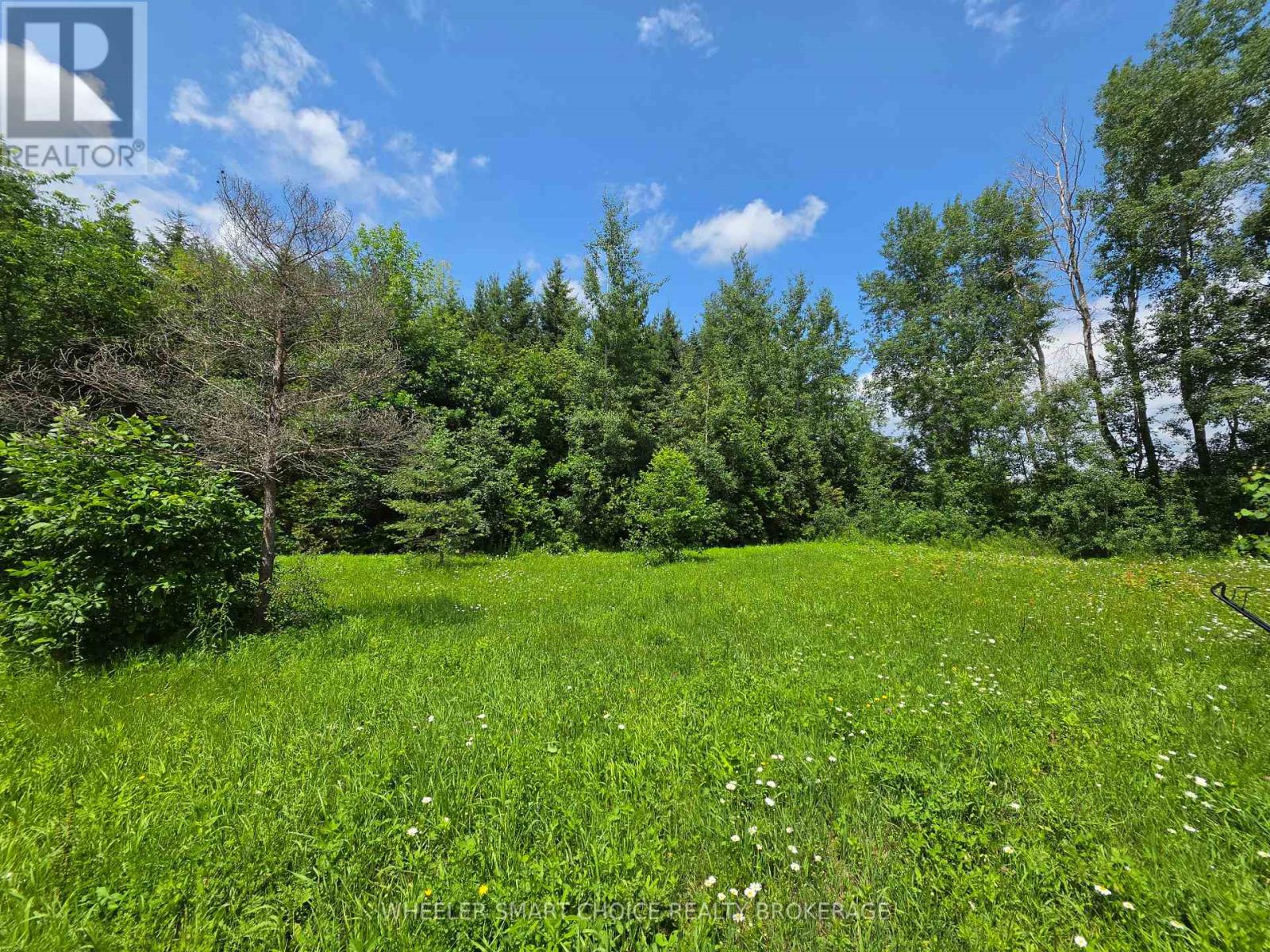 11441 LEVERE ROAD - 47