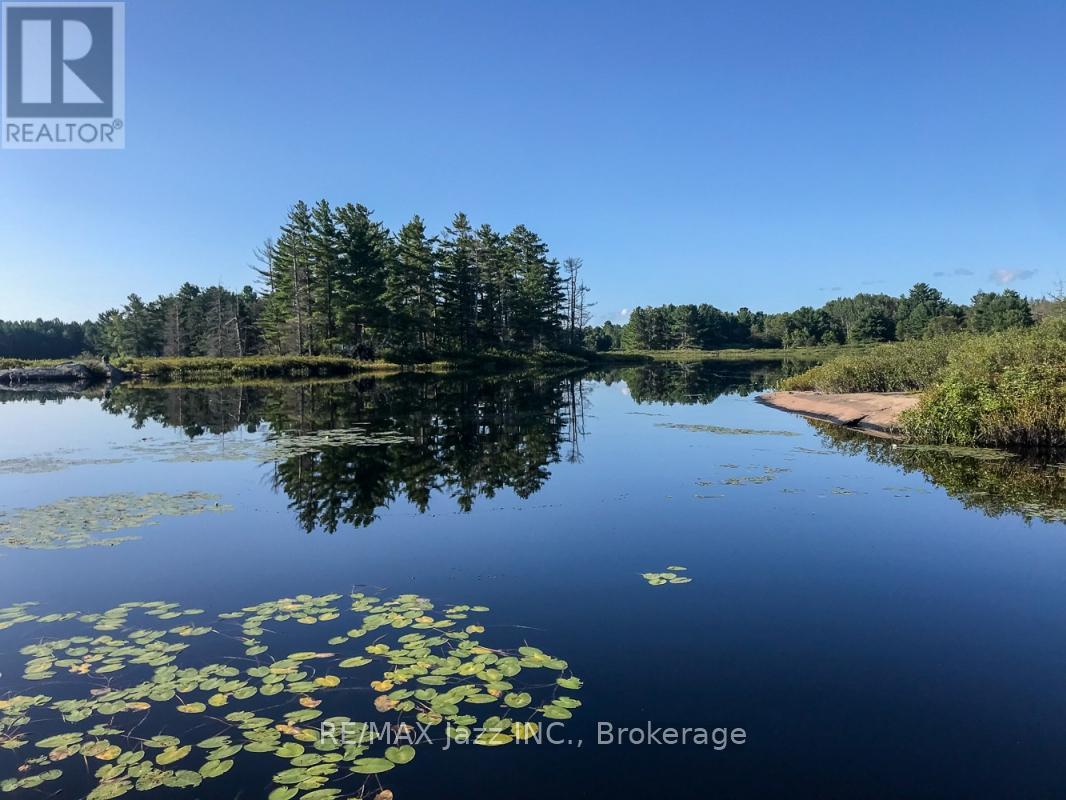 1314 SHEBESHEKONG ROAD - 2