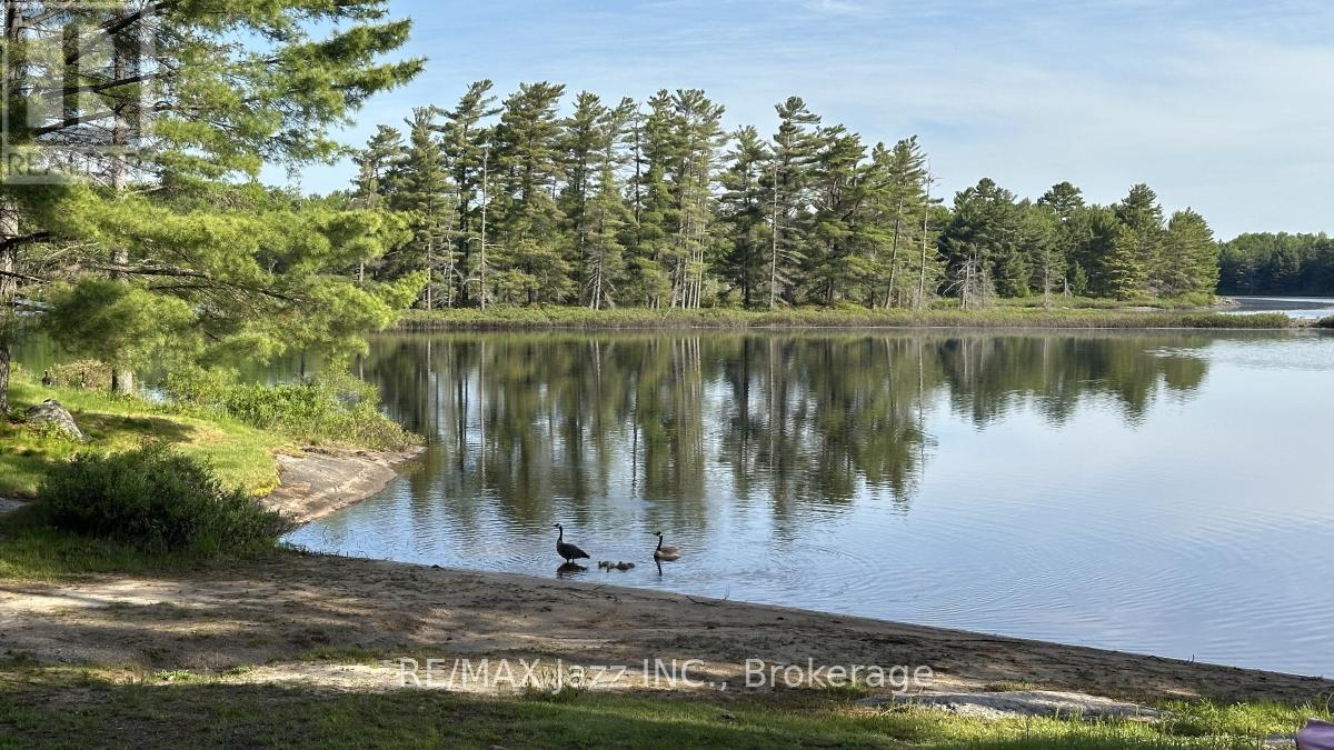 1314 SHEBESHEKONG ROAD - Image 44