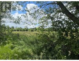 231 Wellington ( Pin-451060369) Street, Greater Napanee, ON K0K1G0 Photo 6
