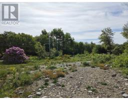 3583 Highway 3, East Green Harbour, NS B0T1L0 Photo 11