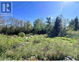 3583 Highway 3, East Green Harbour, NS B0T1L0 Photo 6
