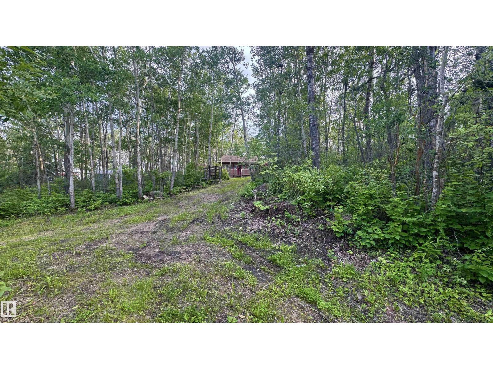 428 11121 TWP ROAD 595 - photo 4