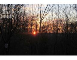 516 Burgess Mountain Road, Woodville, NS B0P1G0 Photo 49