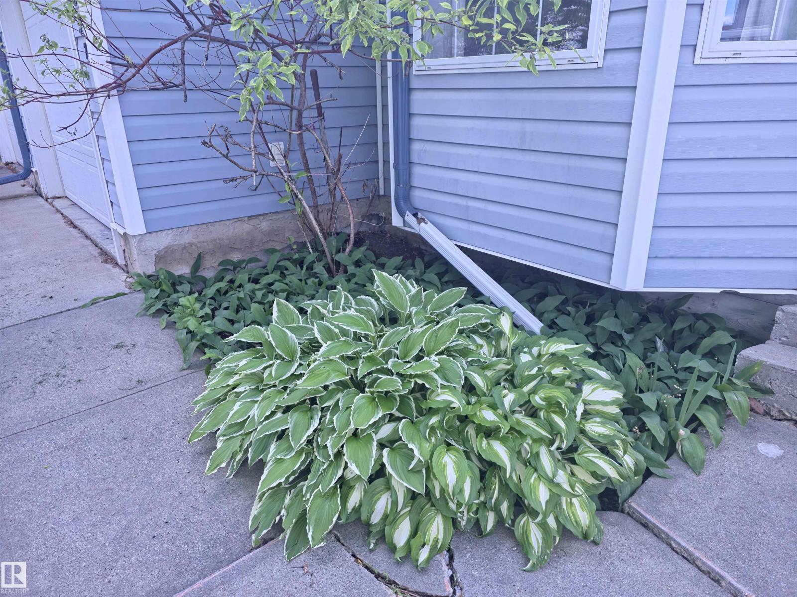 12237 140A AV NW - photo 3