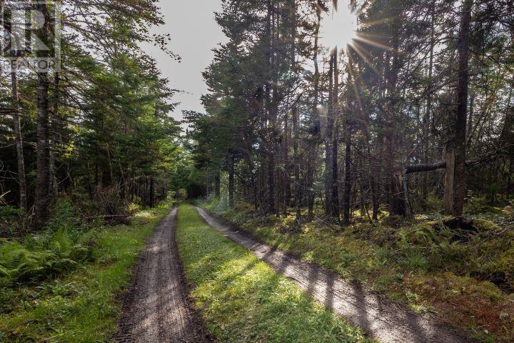 8132 Gabarus Highway - 25