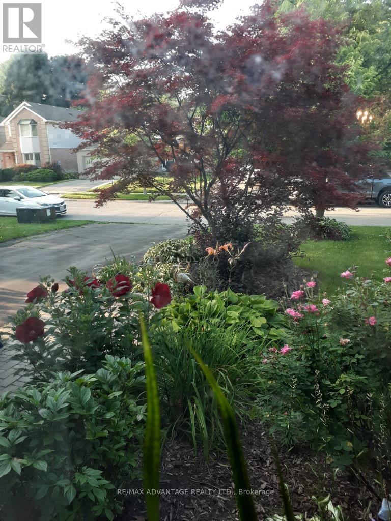51 LAUREL CRESCENT - 5
