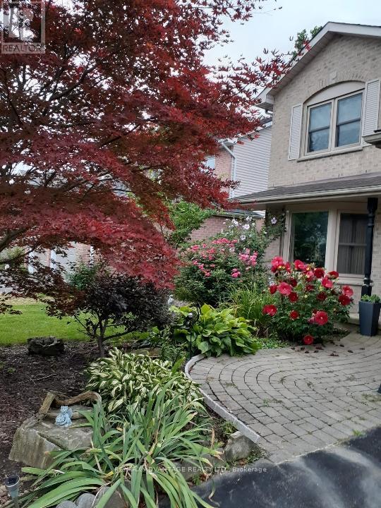 51 LAUREL CRESCENT - 6