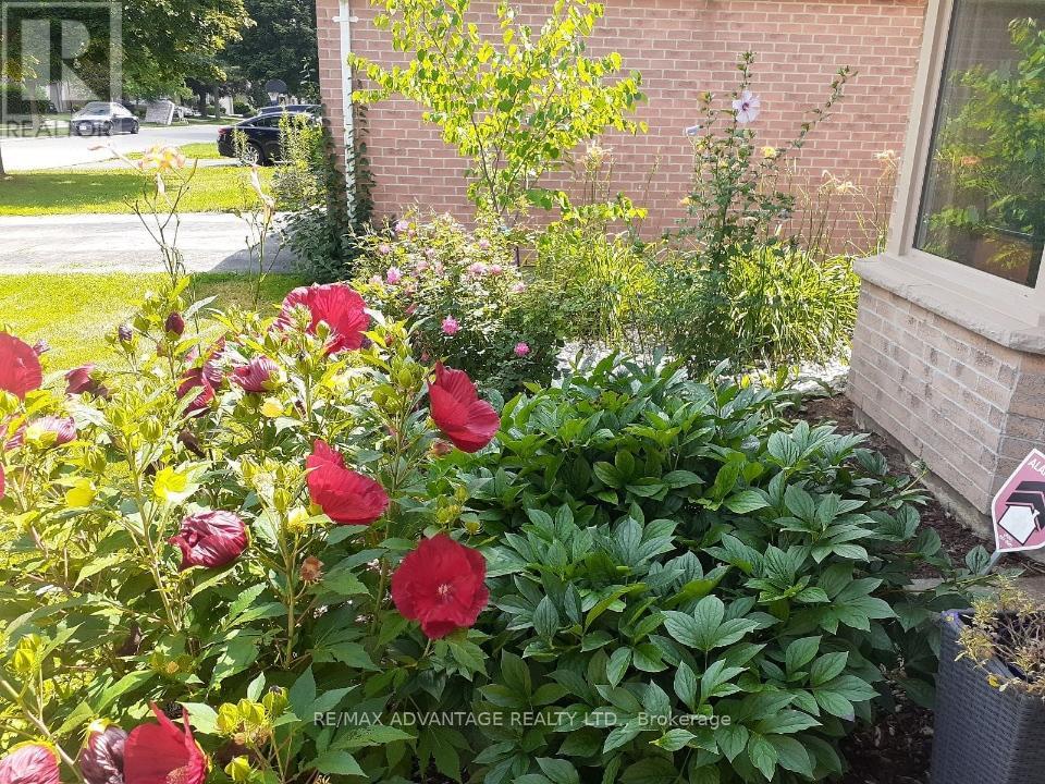 51 LAUREL CRESCENT - 8