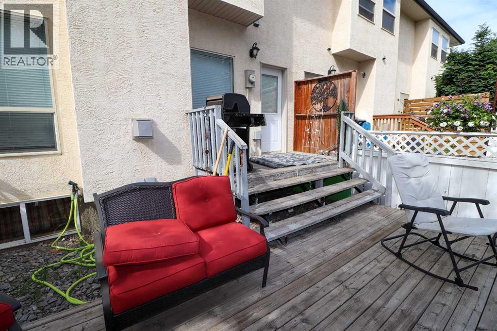 Patio/Back Yard