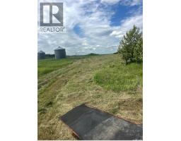 Oborowsky Acres, Battle River Rm No  438, SK S0M0E0 Photo 6