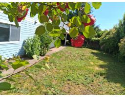 32948 10 Avenue, Mission, BC V2V2K3 Photo 39