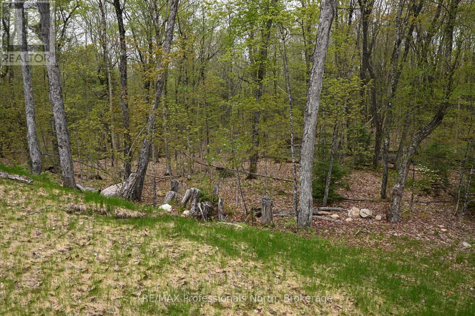 121 LOON LAKE ROAD - 3