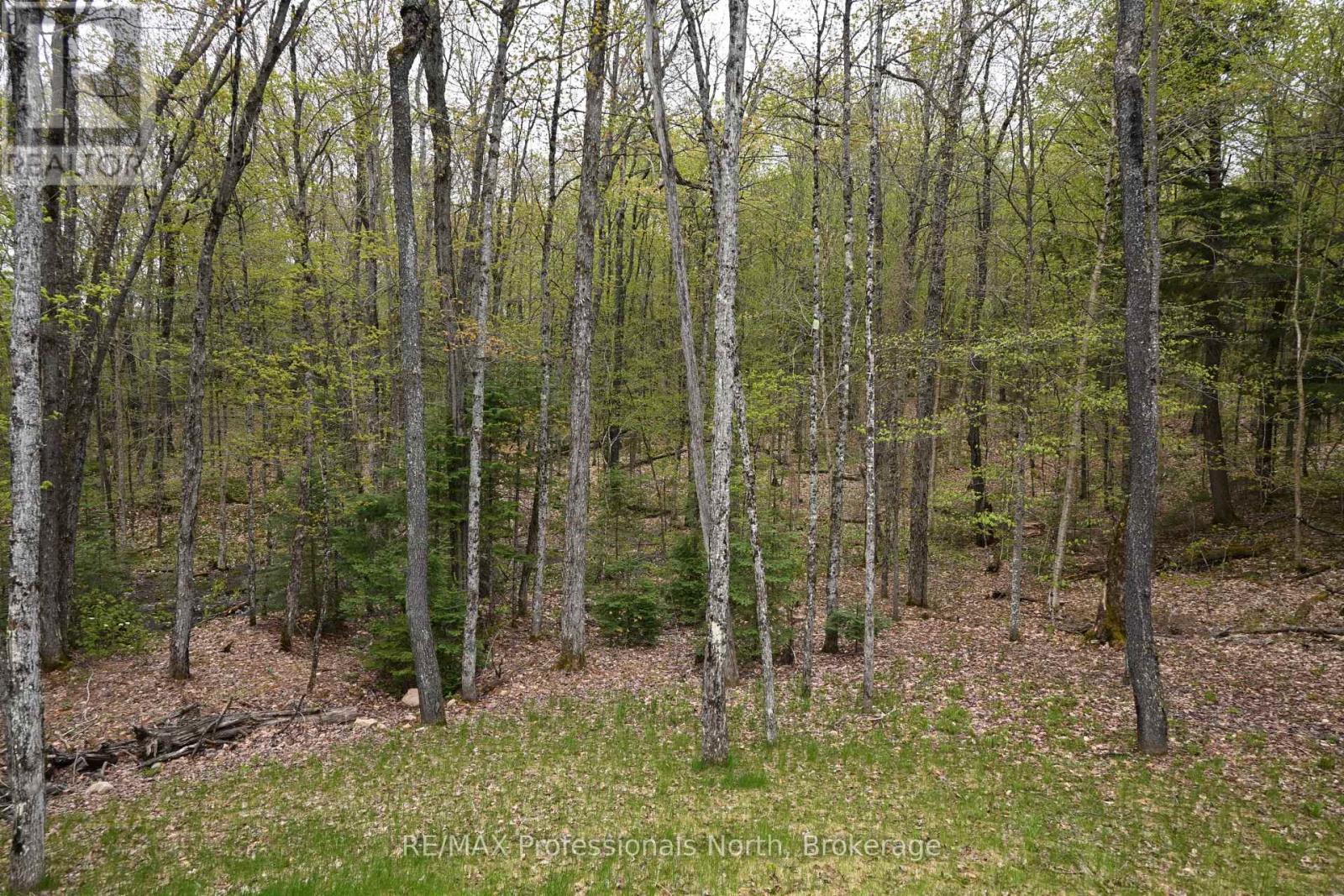 121 LOON LAKE ROAD - 6