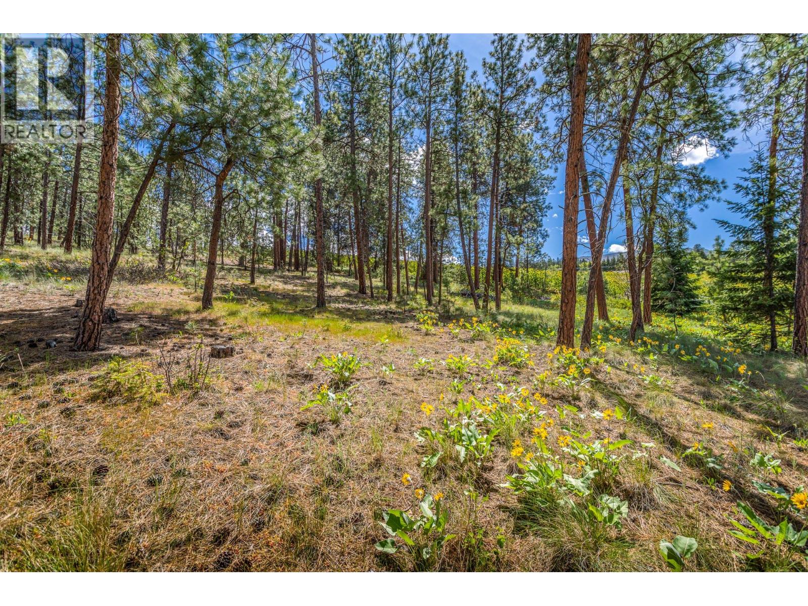  4729 Lakeshore Road, Kelowna