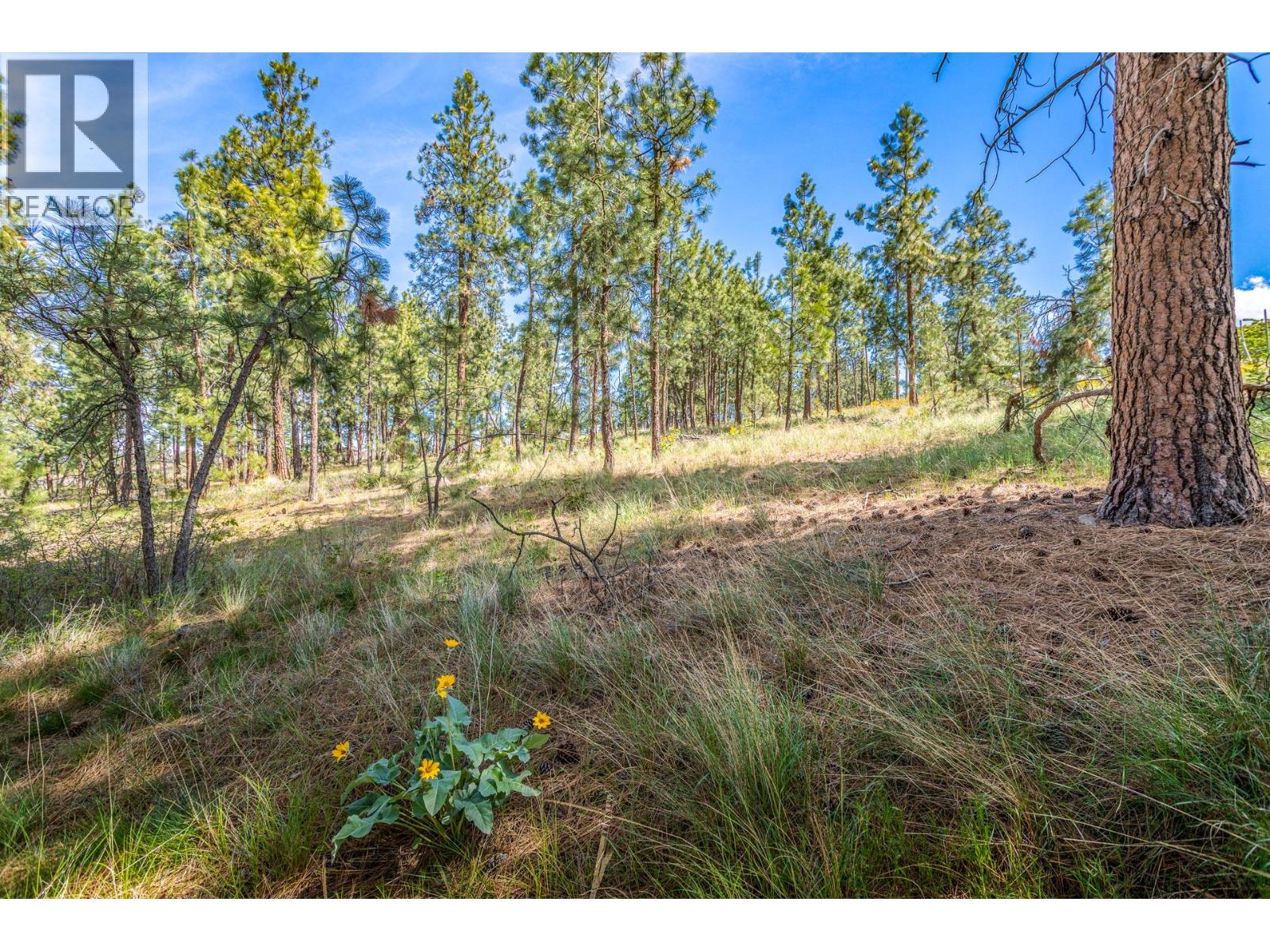  4729 Lakeshore Road, Kelowna