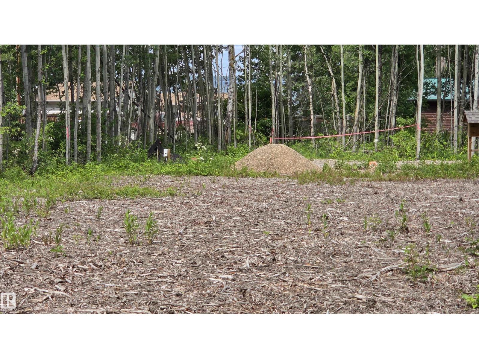 77 Crystal Springs Drive - Photo 6