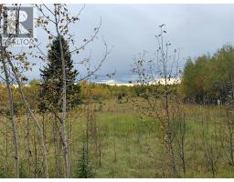 Highway 16 And Range Road 184, Rural Yellowhead County, AB T7E3B4 Photo 10